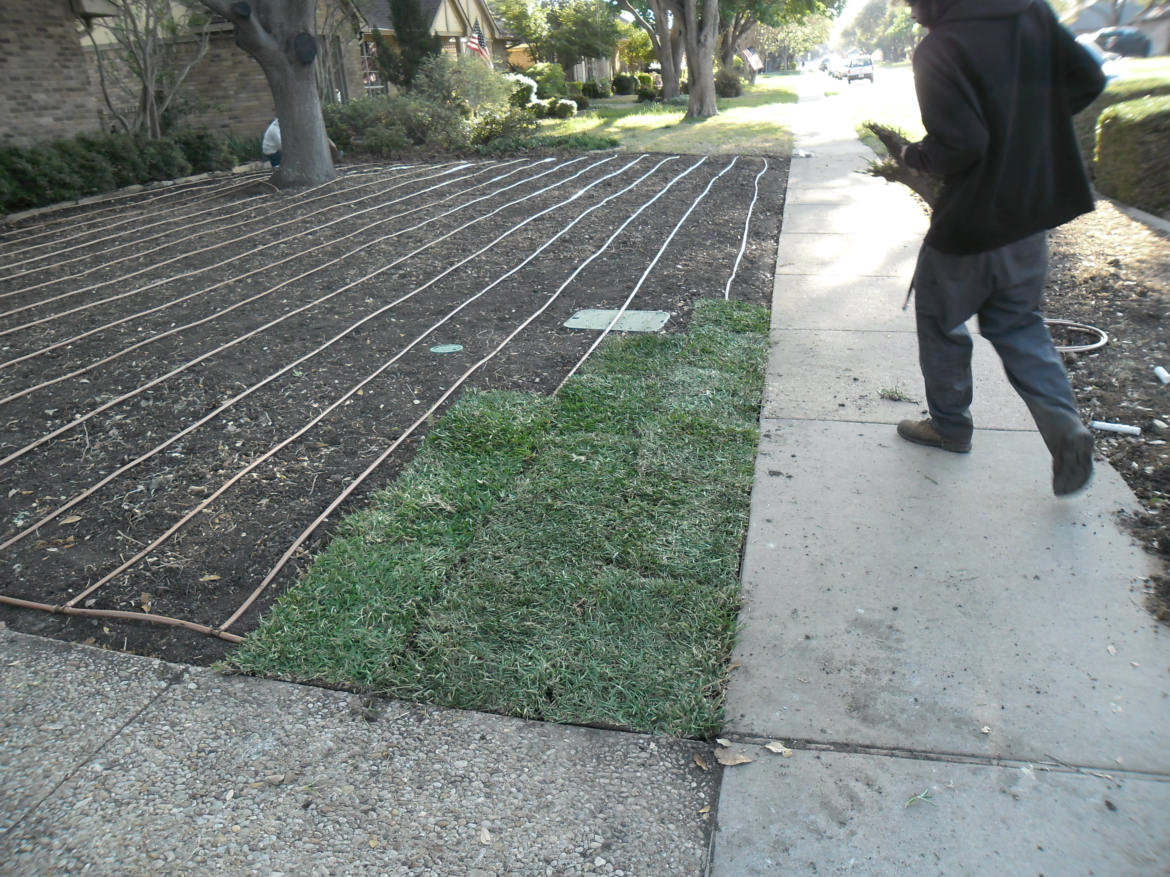 sod-soil