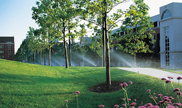 Residential & Commercial Lawn Sprinkler Installation
